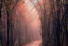 浙江队发布备战花絮，今夜复出首秀，欧冠任务艰巨，数据趋势出现新变化的简单介绍-九游会棋牌app