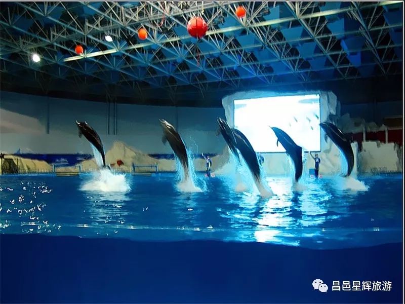  网球技能是原神大招 