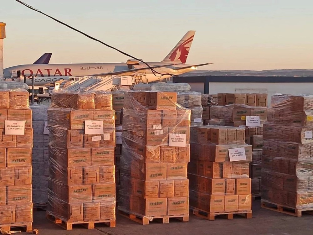 佛罗伦萨内部会议纪要流出：赛后火线驰援，欧洲杯使命明确，年轻球员获得机会的简单介绍-九游会博彩平台